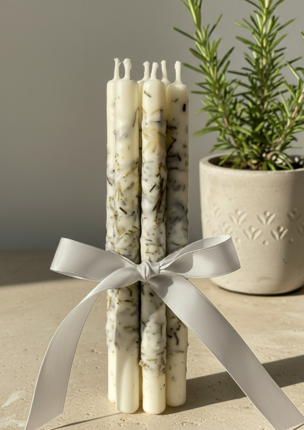 Velas Bento con Romero – Cumpleaños Holísticos y Conscientes